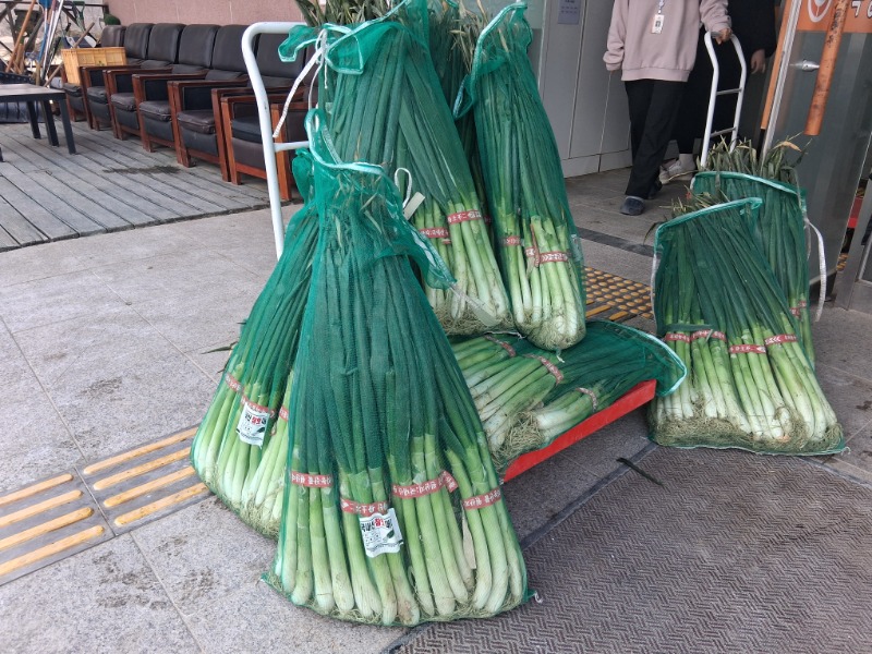 KakaoTalk_20260211_162451386_04.jpg